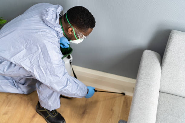 Best Indoor Pest Control  in Jeanerette, LA